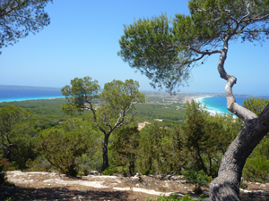 Vista desde Es Mirador